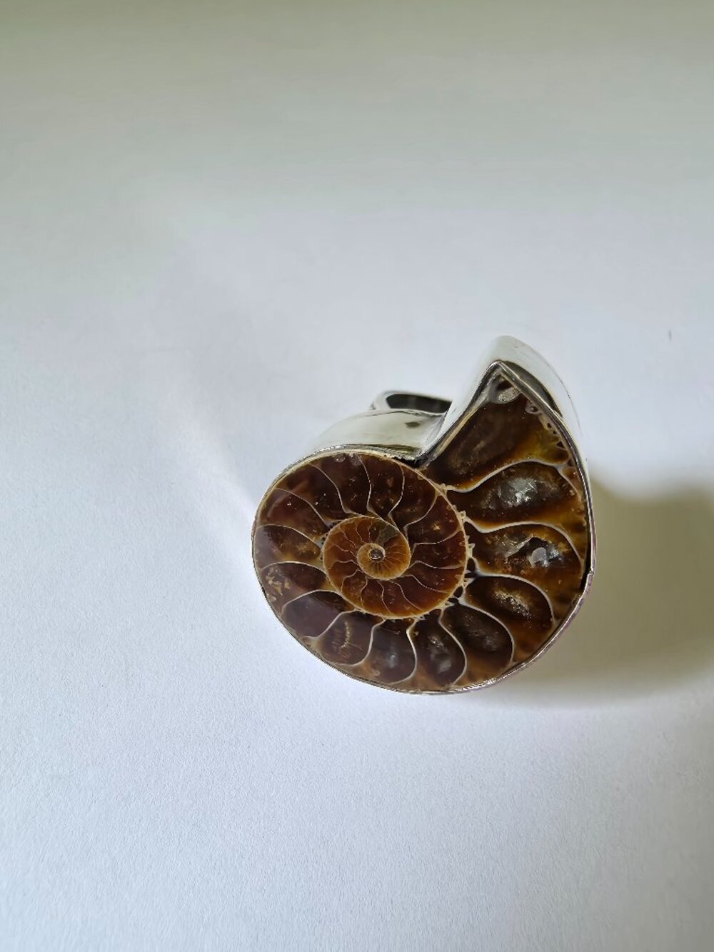 Huge ammonite /ammolite silver-plated ring | Size 9.25 | Marked 925